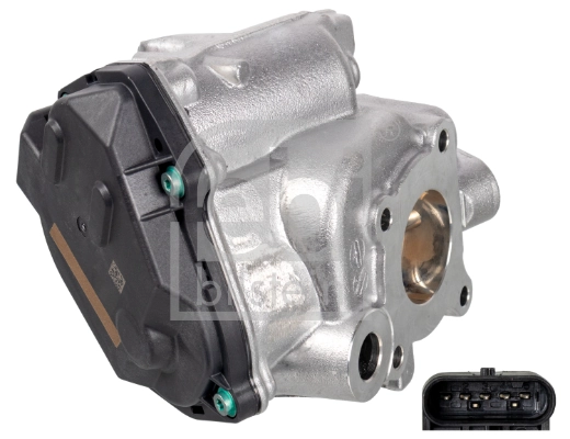 EGR Valve